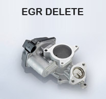 egr delete